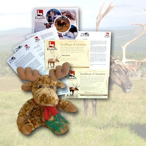 adopt a raindeer adopt a raindeer